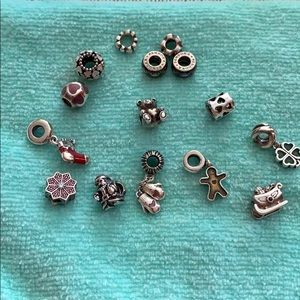 Pandora Charms